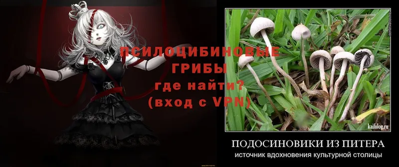 Галлюциногенные грибы Magic Shrooms Оса